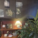 먹골 | 중랑구 맛집 먹골 닭갈비 다함닭갈비 먹골직영점 솔직후기