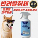피랩 이미지