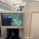 545 | 아시아나 인천-프라하(OZ 545) 비즈니스 후기