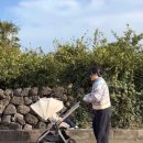 디자인태그 | 절충형유모차 국내선 비행기 위탁수하물 후기 ABC디자인 태그 유모차 추천