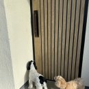 로이스애견풀빌라 이미지