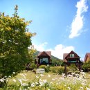 12월펜션 이미지