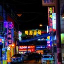 389호프
