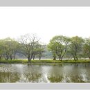 꽃달아줄개 이미지