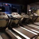 테라피트 이미지