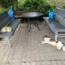 신북골프연습장 이미지