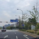 별사랑동물병원 네이버블로그