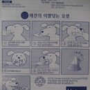 쥬쥬동물병원 이미지