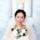 테드스튜디오
