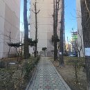 청화연식