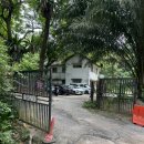 에버프라이스 | malaya universiti 인근 스리랑카음식 맛집- Umac House 람프라이스, 페퍼치킨, 치킨커리, 코코넛음료