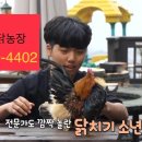 석원이네 이미지