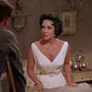 양철지붕위의고양이 이미지