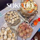 생각통통 재미있는 토론 | 속초여행 속초해수욕장 근처 포차감성 정돈이네 회짱포차 조개찜 후기