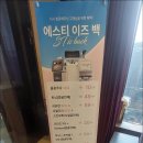 에스티성형외과의원 네이버블로그
