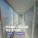 세븐일레븐 부산모라벽산점 | 부산 모라벽산 리모델링시 필수 발코니 탄성코트 후기