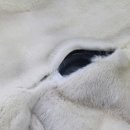 세탁과수선 이미지