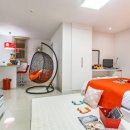 스파벨리스 이미지