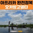 이루는 여행사 | 아프리카 패키지 여행 일정｜600km 하이웨이 + 보츠와나 오카방고 델타 모코로 투어 후기