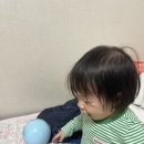 국밥슐랭 이미지