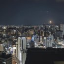 더 프리저 팜 | DERAGAYA! 이벤트 (feat. 후루카와 마코토) 다녀옴