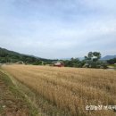 보옥농장 이미지