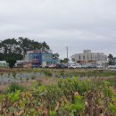 명품물회 송정본점 이미지