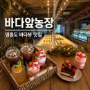 지담들농장 | 영종도카페 바다뷰 맛집 | 바다앞농장 딸기가나초코해 & 딸기라떼 추천