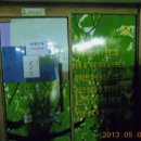 서초대로65길 13-10 이미지