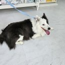 지에스25 용산퍼스트 이미지