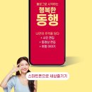 스마트폰 활용 사진+동영상 촬영 이미지