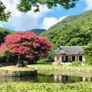 진도 운림산방 이미지