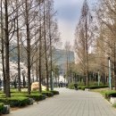 금호공원 앞 횡단보도 이미지