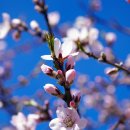 중동한의원 이미지