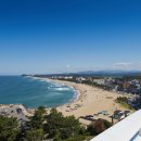 낙산비치호텔 멀티룸 이미지