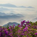바람의속삭임 이미지