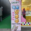 다이소충주칠금점 이미지