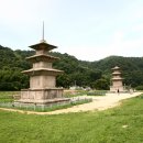 '한국 석탑의 전형' 국보 감은사지 삼층석탑, 보존 처리한다 이미지