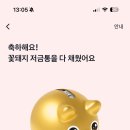 꽃돼지
