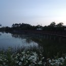 궁월경로당 이미지