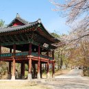 부여(사비)-05 이미지