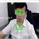 Processing OpenCV 얼굴인식 이미지