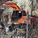 김판정농장 이미지