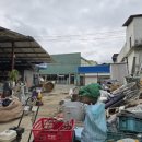 부동산경매 심화 이미지