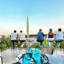 맘편하개 이미지