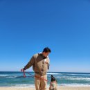 굿댕스쿨 이미지