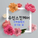 수인스킨케어