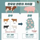 한우와돼지나라