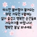 태사랑 Daum카페