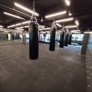 성남 중앙 권투체육관 이미지